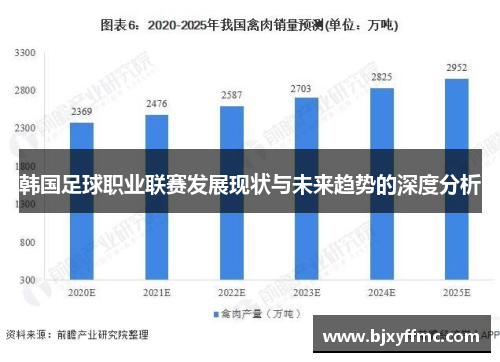 韩国足球职业联赛发展现状与未来趋势的深度分析